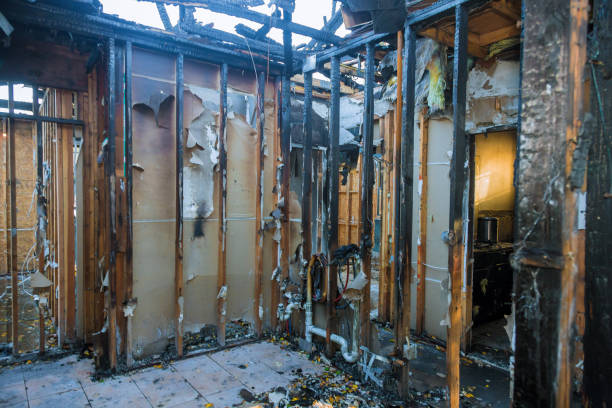 Professional Fire Damage Assessment technician working in Carey, ID